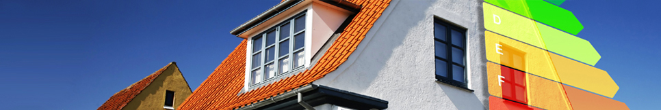 Banner - Ralph Polster