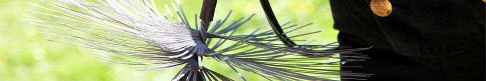 Banner - Ralph Polster